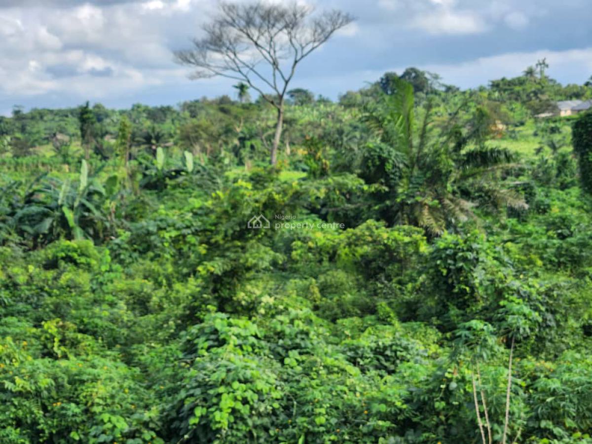 200 Acres Land, Arowojeka on Circular Road, Ibadan, Ibadan North-east, Oyo, Mixed-use Land for Sale