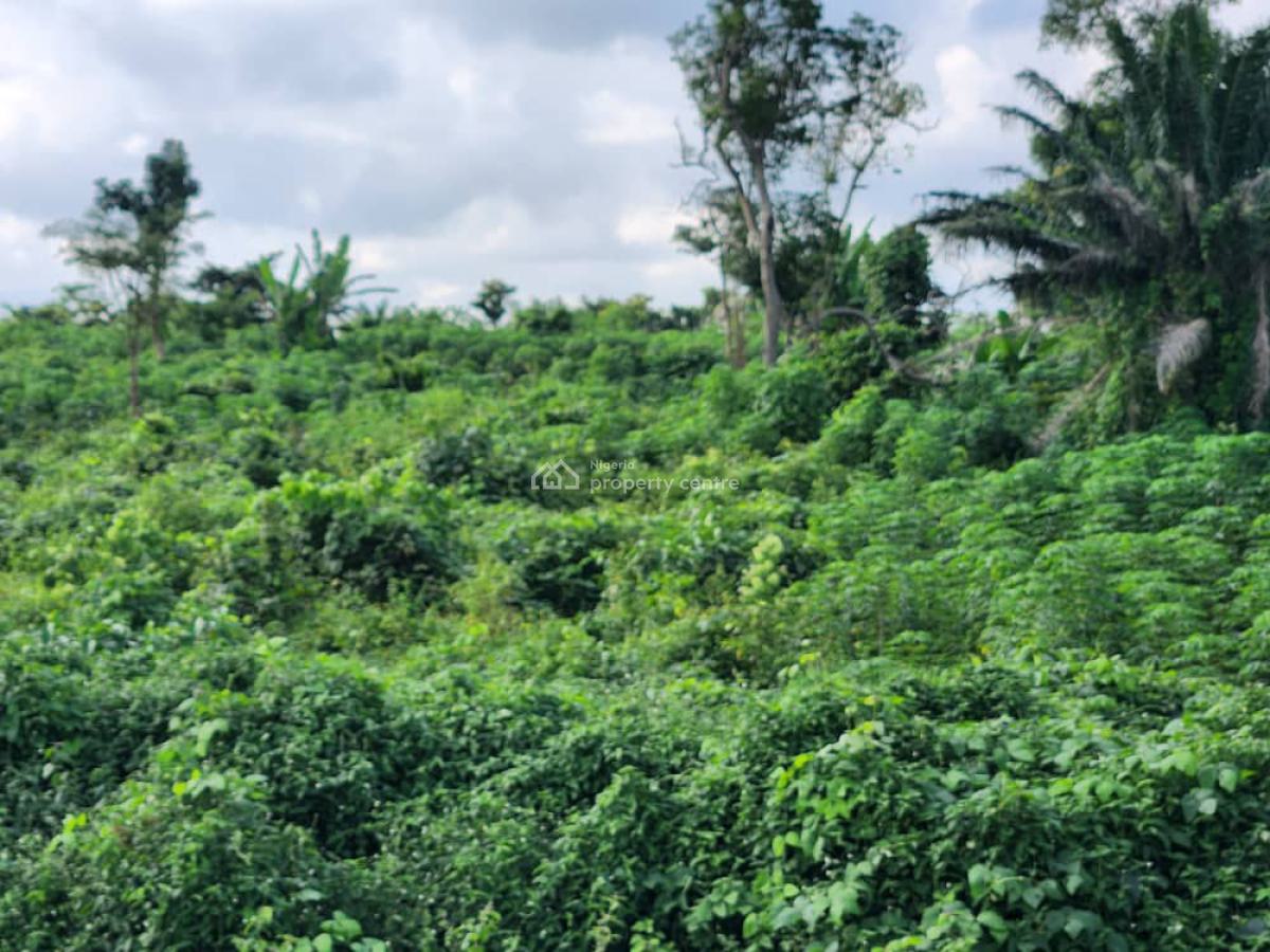200 Acres Land, Arowojeka on Circular Road, Ibadan, Ibadan North-east, Oyo, Mixed-use Land for Sale