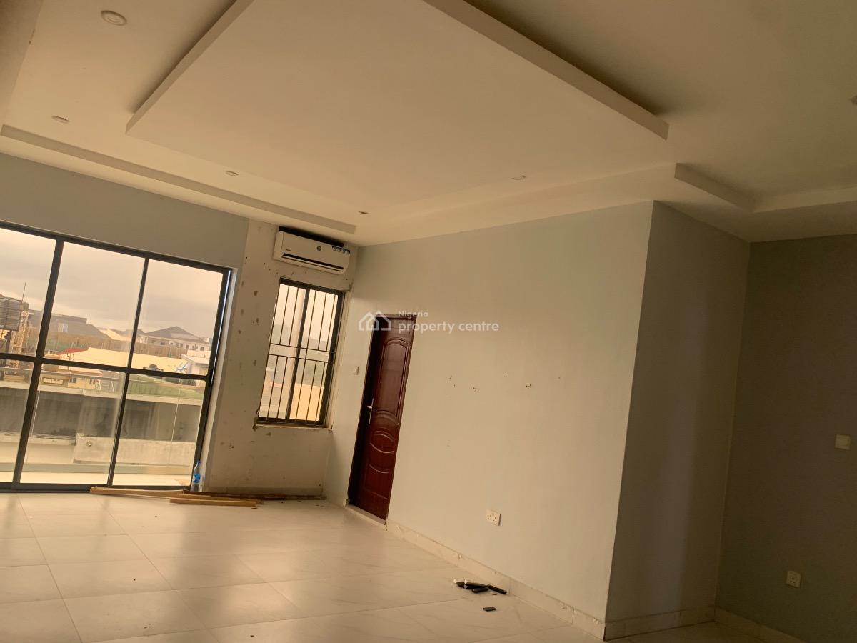 Luxurious Spacious 2 Bedroom Apartment with Excellent Finishing, Ikate, Lekki, Lagos, Flat / Apartment for Rent