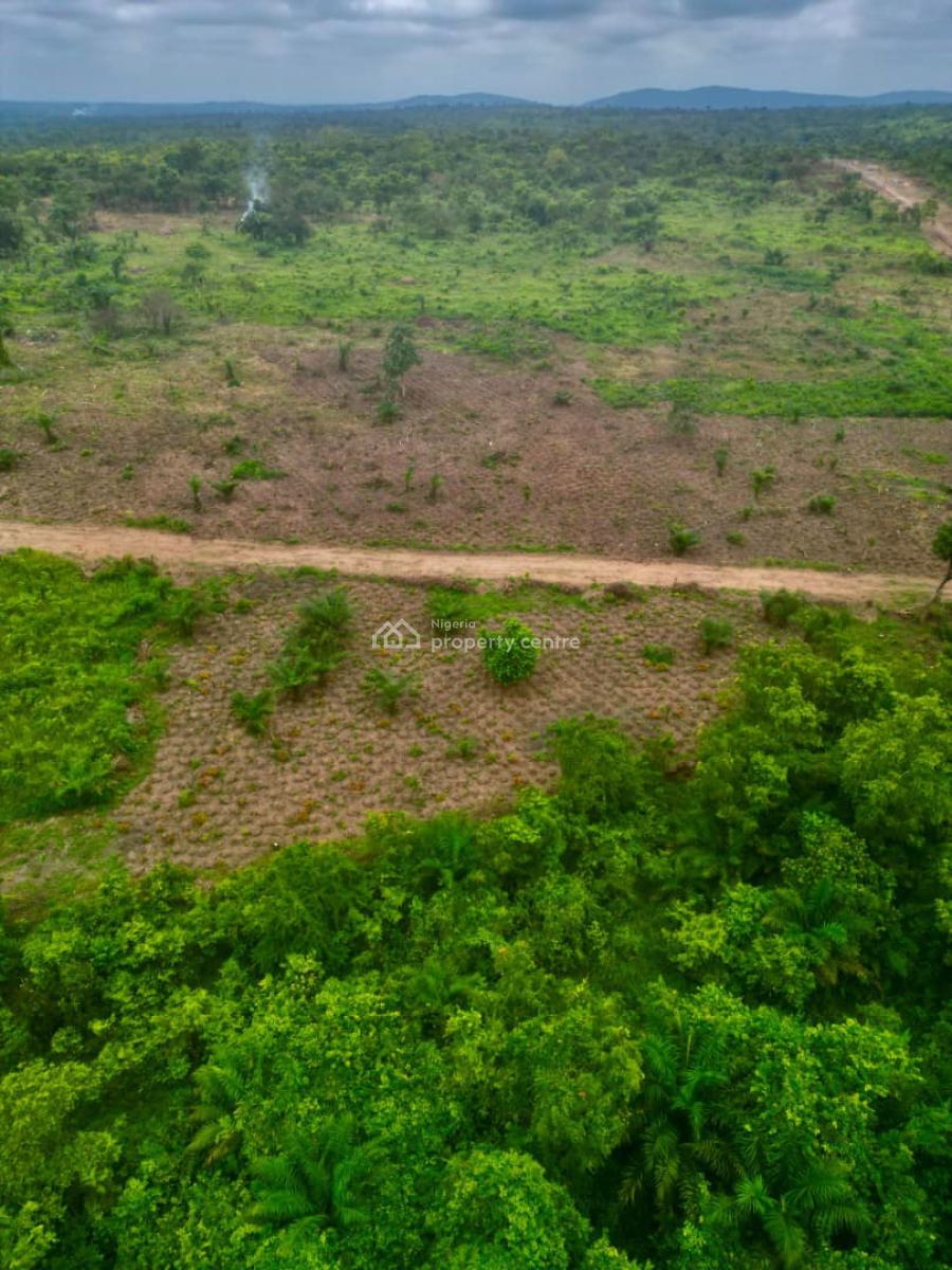 Own Productive Farmland with Flexible Payment Options, Off Funaab, Alabata Road, Abeokuta, Odeda, Ogun, Mixed-use Land for Sale