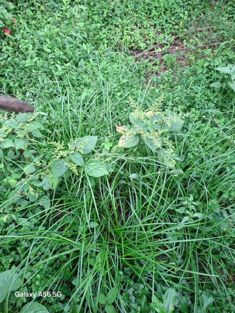 Residential Land, Gwarinpa Estate, Gwarinpa, Abuja, Residential Land for Sale