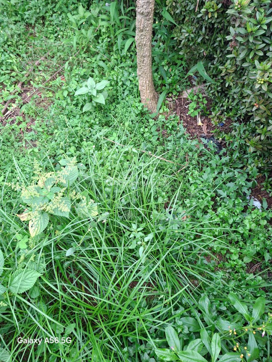 Residential Land, Gwarinpa Estate, Gwarinpa, Abuja, Residential Land for Sale