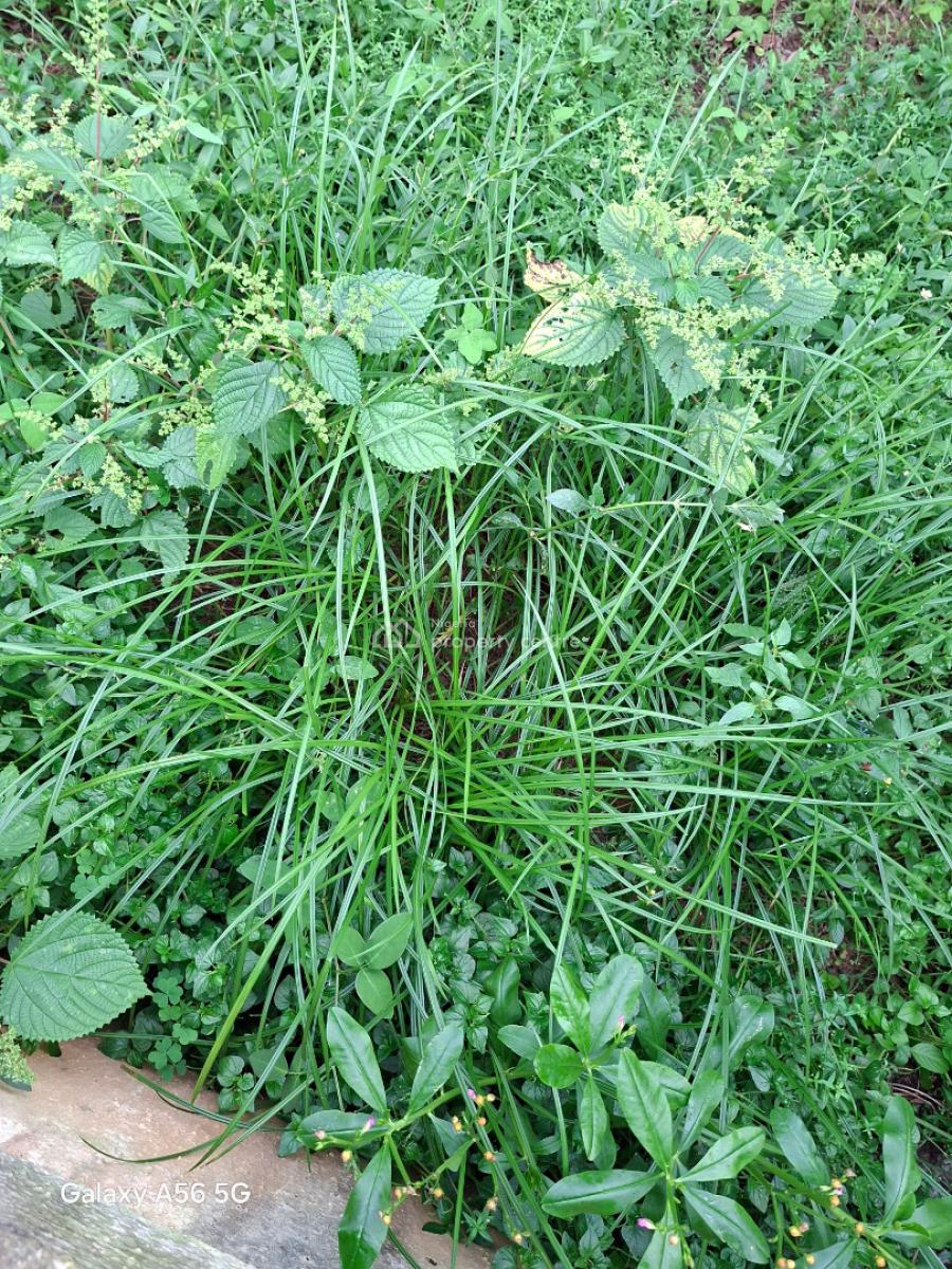 Residential Land, Gwarinpa Estate, Gwarinpa, Abuja, Residential Land for Sale