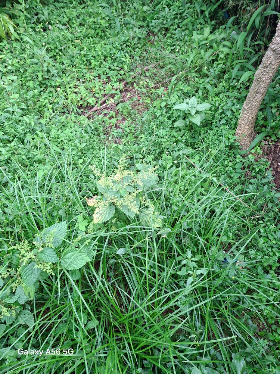Residential Land, Gwarinpa Estate, Gwarinpa, Abuja, Residential Land for Sale