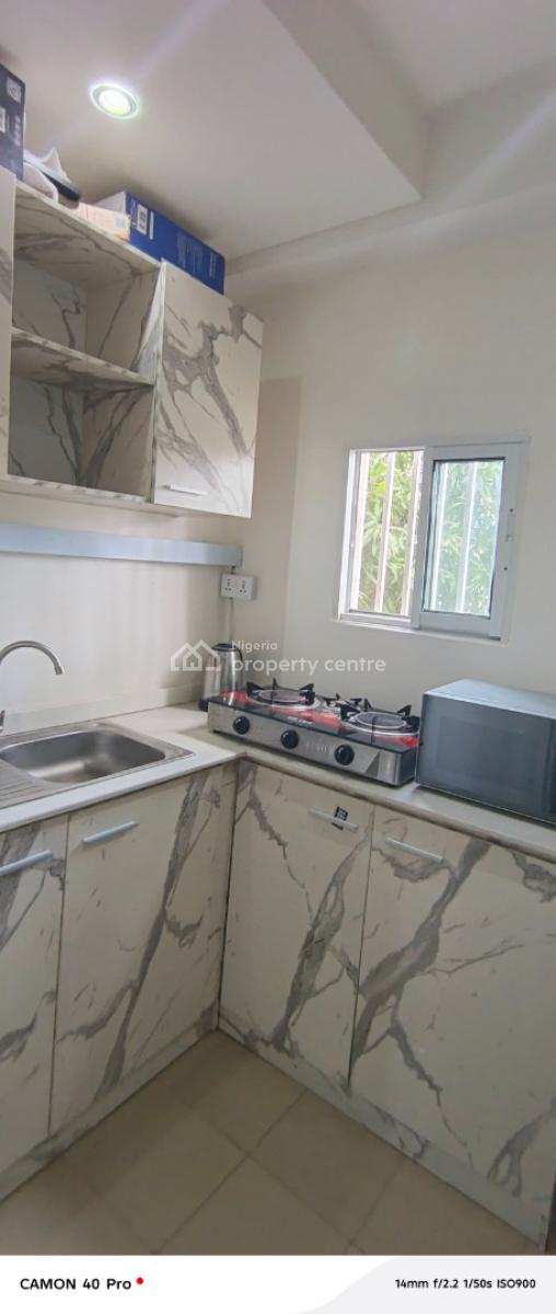 Luxury Mini Flat, Kofo Abayomi Street, Victoria Island (vi), Lagos, Mini Flat (room and Parlour) for Rent