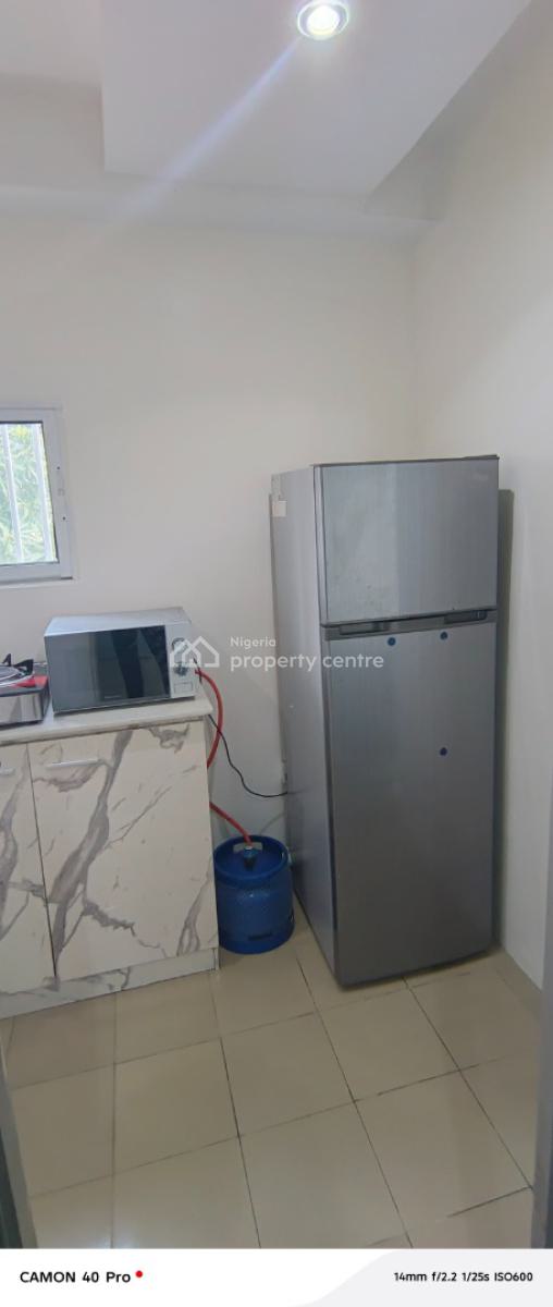 Luxury Mini Flat, Kofo Abayomi Street, Victoria Island (vi), Lagos, Mini Flat (room and Parlour) for Rent