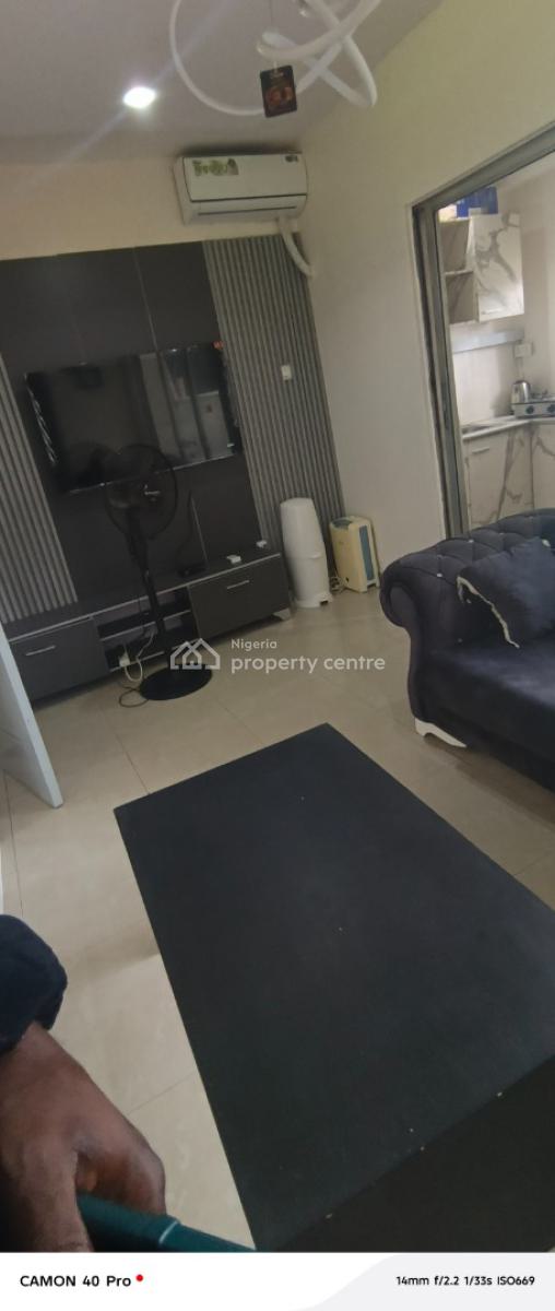 Luxury Mini Flat, Kofo Abayomi Street, Victoria Island (vi), Lagos, Mini Flat (room and Parlour) for Rent