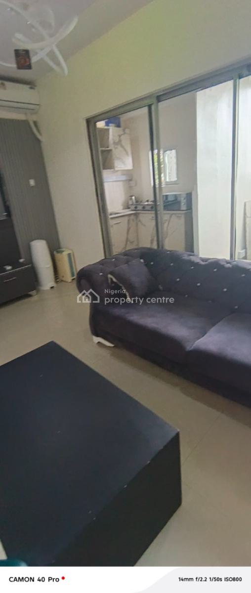 Luxury Mini Flat, Kofo Abayomi Street, Victoria Island (vi), Lagos, Mini Flat (room and Parlour) for Rent