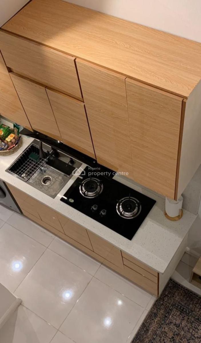 Nicely Furnished 1 Bedroom Apartment, Ikoyi, Lagos, Flat / Apartment Short Let