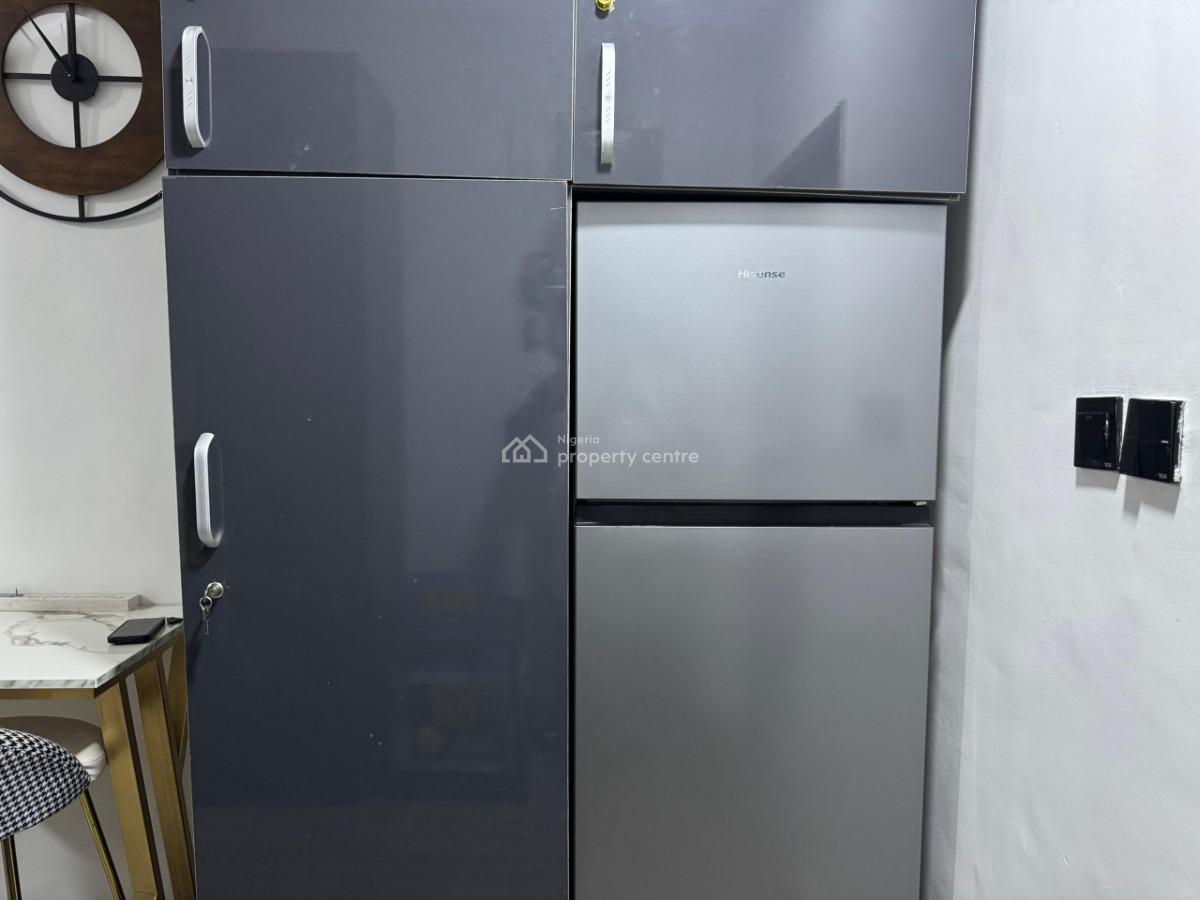 Nicely Furnished 2 Bedroom Apartment, Lekki Phase 1, Lekki, Lagos, Flat / Apartment Short Let