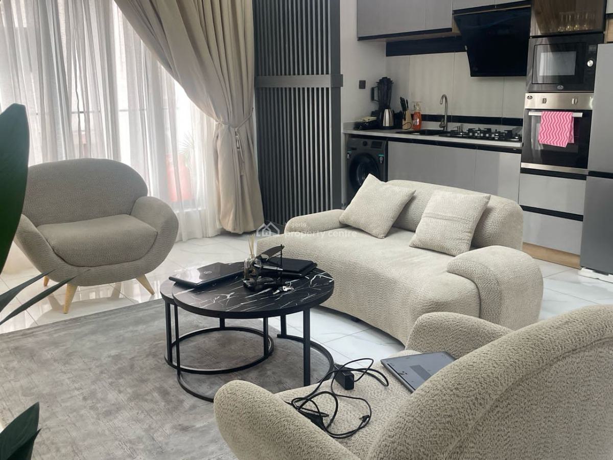 Nicely Furnished 2 Bedroom Apartment, Ikate, Lekki, Lagos, Flat / Apartment Short Let
