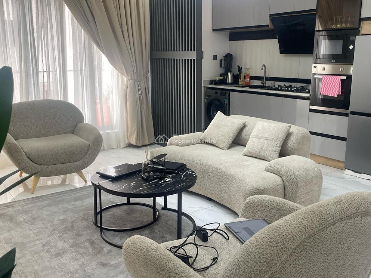 Nicely Furnished 2 Bedroom Apartment, Ikate, Lekki, Lagos, Flat / Apartment Short Let