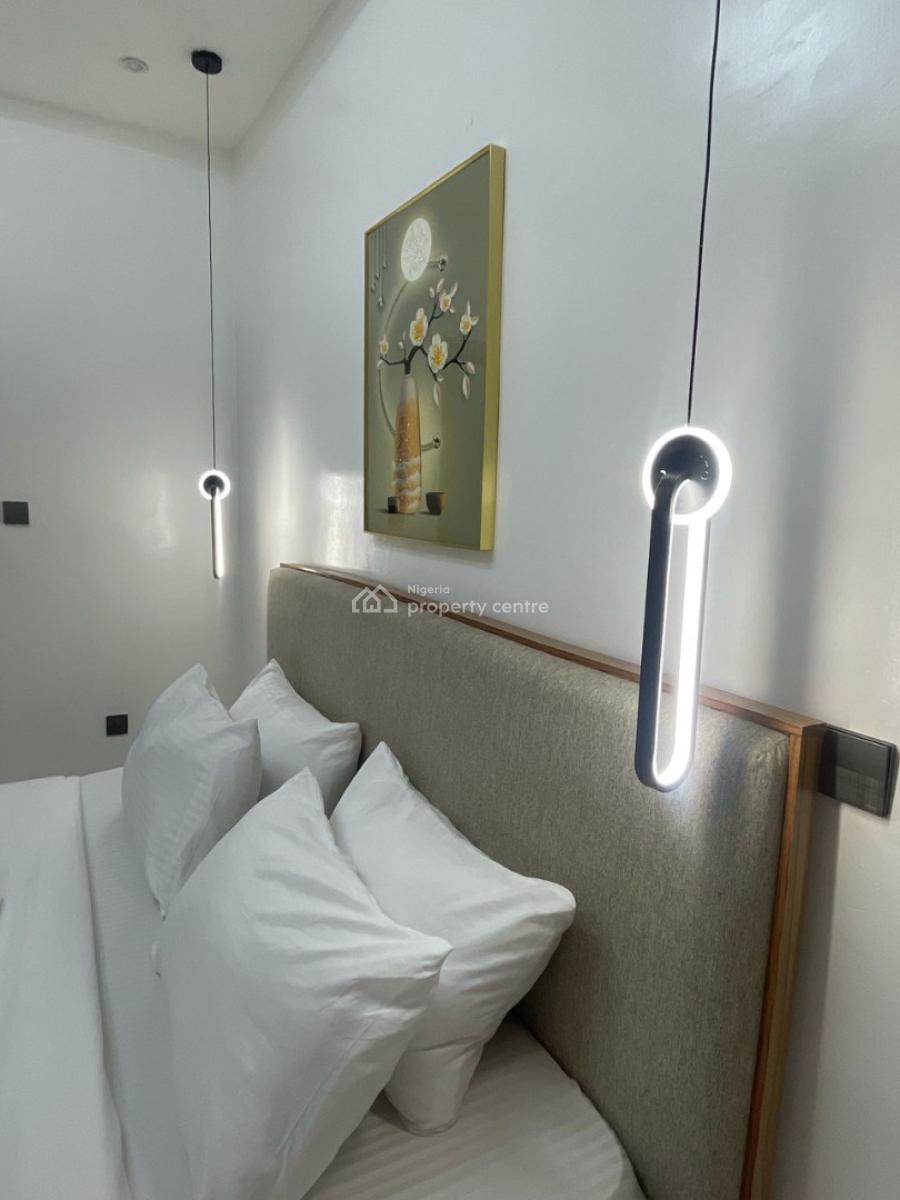 Nicely Furnished 2 Bedroom Apartment, Ikate, Lekki, Lagos, Flat / Apartment Short Let