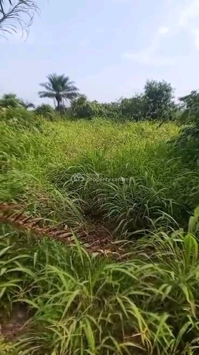 Dry Land with Fast Development on Promo, Eleranigbe, Ibeju Lekki, Lagos, Land for Sale