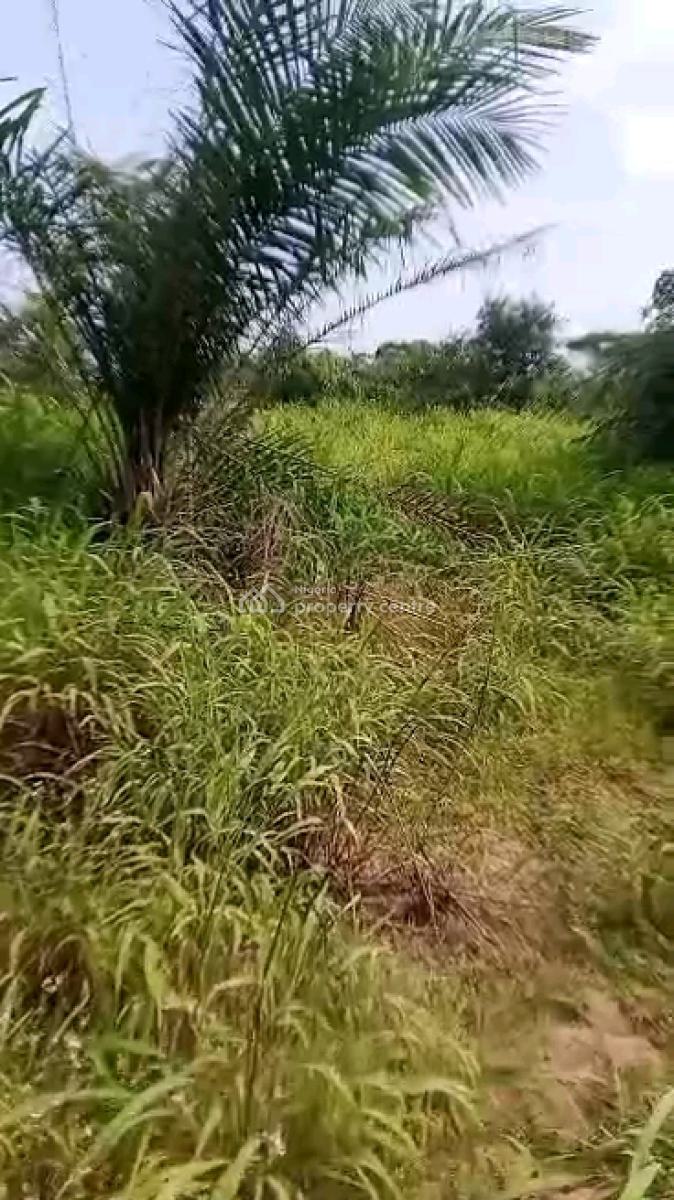 Dry Land with Fast Development on Promo, Eleranigbe, Ibeju Lekki, Lagos, Land for Sale