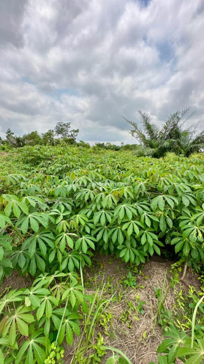 Invest in Farmland and Start Earning From Agriculture, Off Funaab, Alabata Road, Abeokuta, Odeda, Ogun, Mixed-use Land for Sale