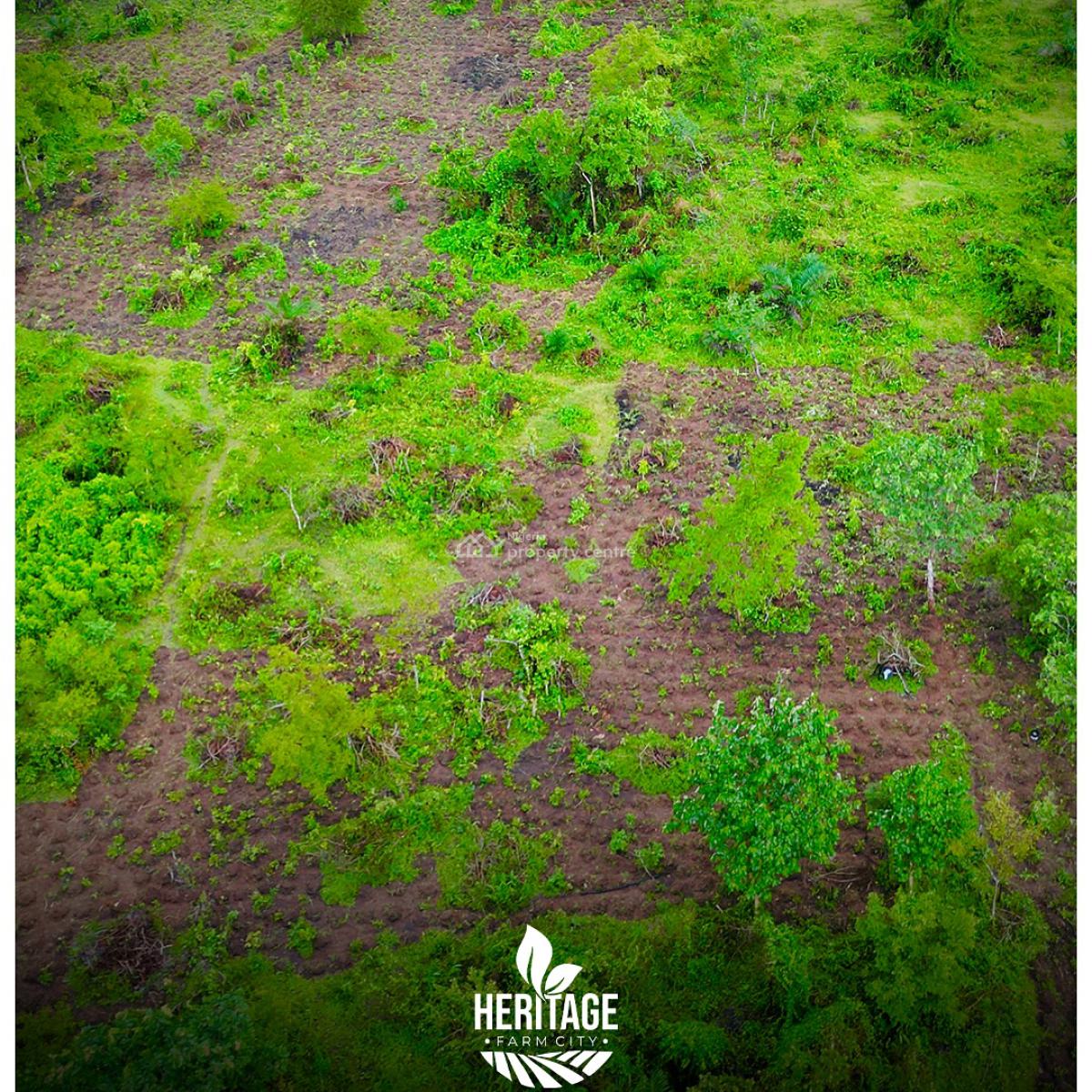 Invest in Farmland and Start Earning From Agriculture, Off Funaab, Alabata Road, Abeokuta, Odeda, Ogun, Mixed-use Land for Sale