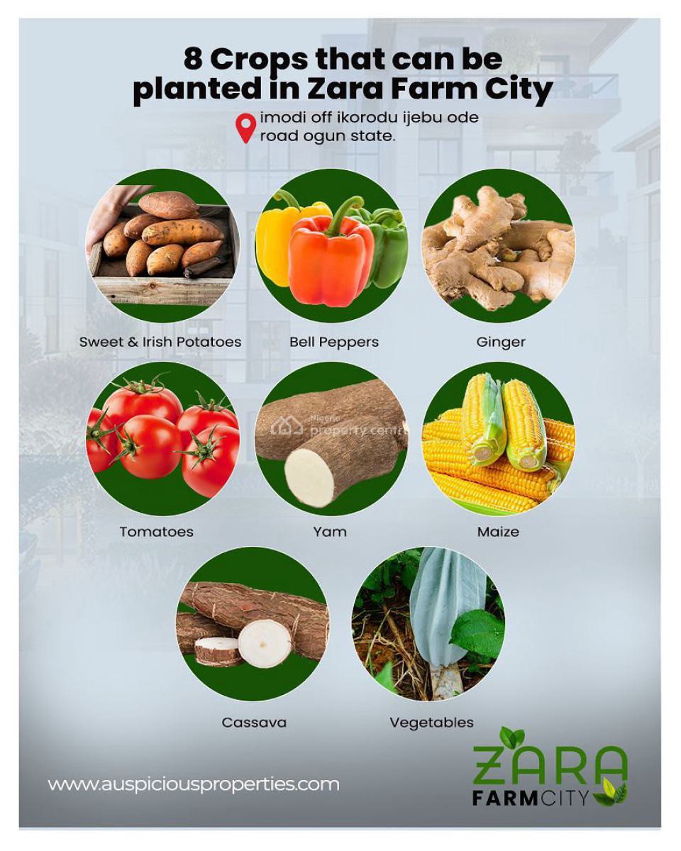 Zara Farm City, Land of Wealth, Apa Egbede Community, Imodi Ijasi, Ikorodu, Ijebu Ode, Ogun, Mixed-use Land for Sale