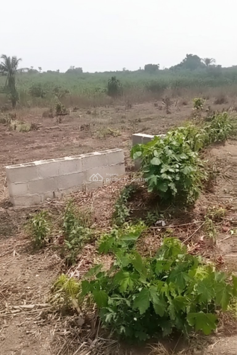 Very Dry Land on Promo with Fast Development, 3mins From Epe Toll Gate, Epe, Lagos, Land for Sale