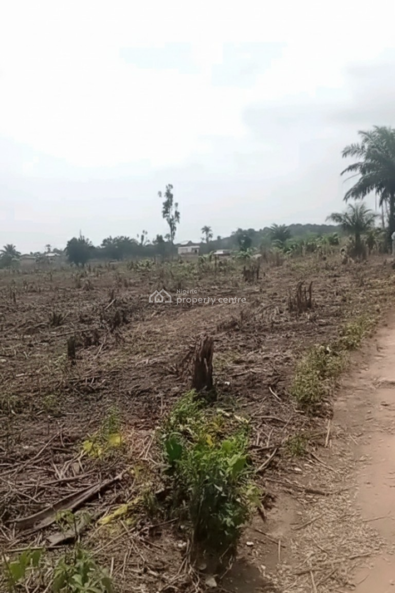 Very Dry Land on Promo with Fast Development, 3mins From Epe Toll Gate, Epe, Lagos, Land for Sale