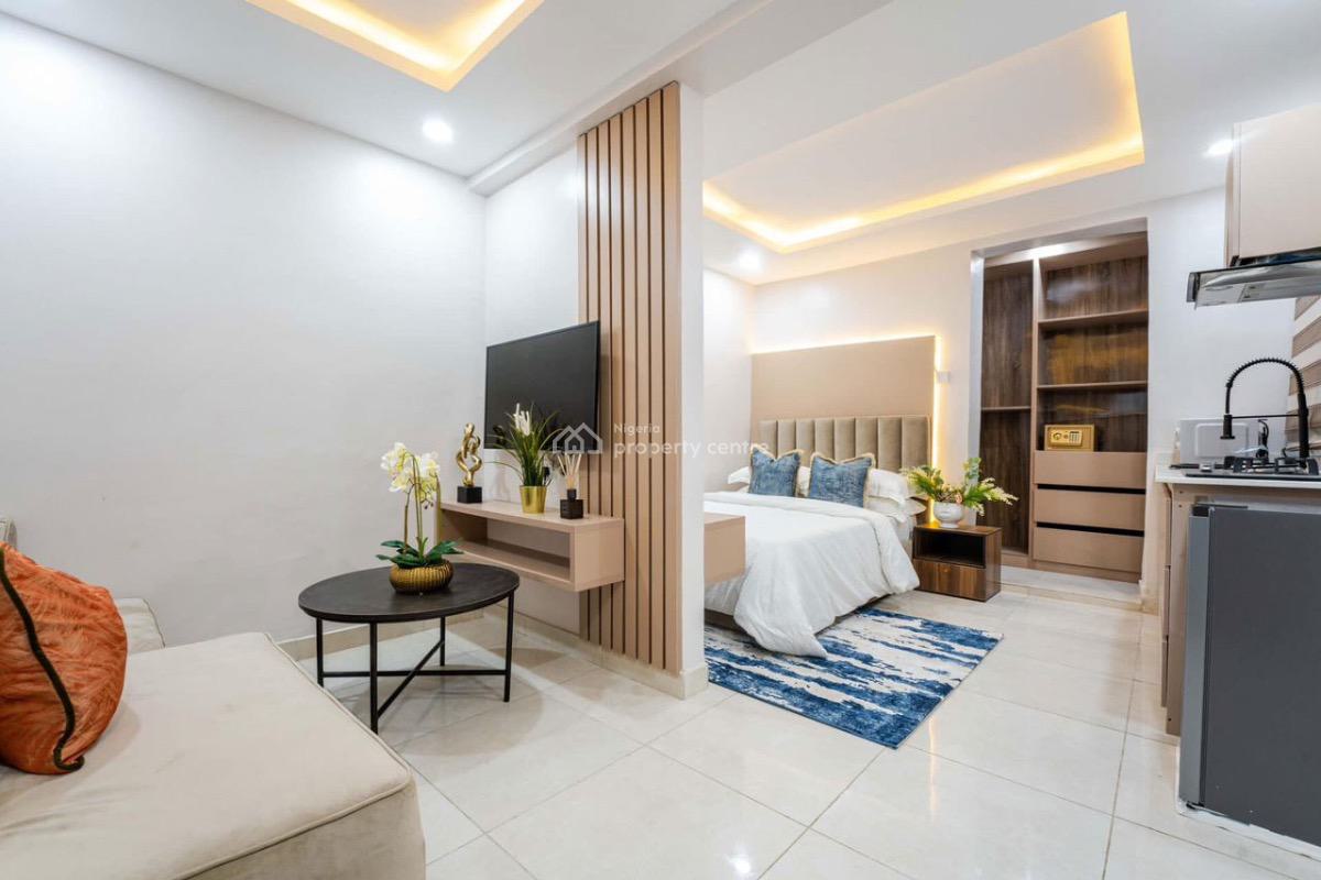 Luxury 1 Bedroom Studio Apartment, Sinari Daranijo, Victoria Island (vi), Lagos, Mini Flat (room and Parlour) for Rent