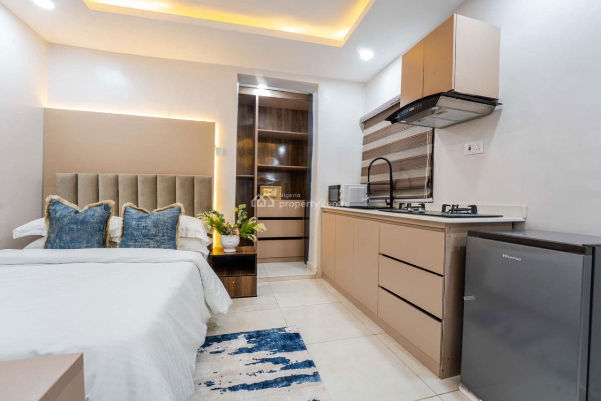Luxury 1 Bedroom Studio Apartment, Sinari Daranijo, Victoria Island (vi), Lagos, Mini Flat (room and Parlour) for Rent