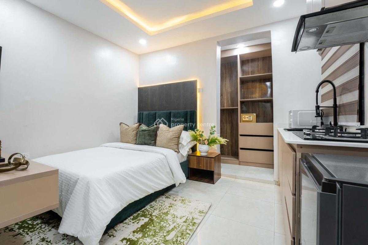 Luxury 1 Bedroom Studio Apartment, Sinari Daranijo, Victoria Island (vi), Lagos, Mini Flat (room and Parlour) for Rent