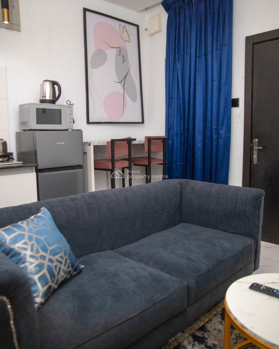 Nicely Furnished 1 Bedroom Apartment, Lawanson, Surulere, Lagos, Flat / Apartment Short Let
