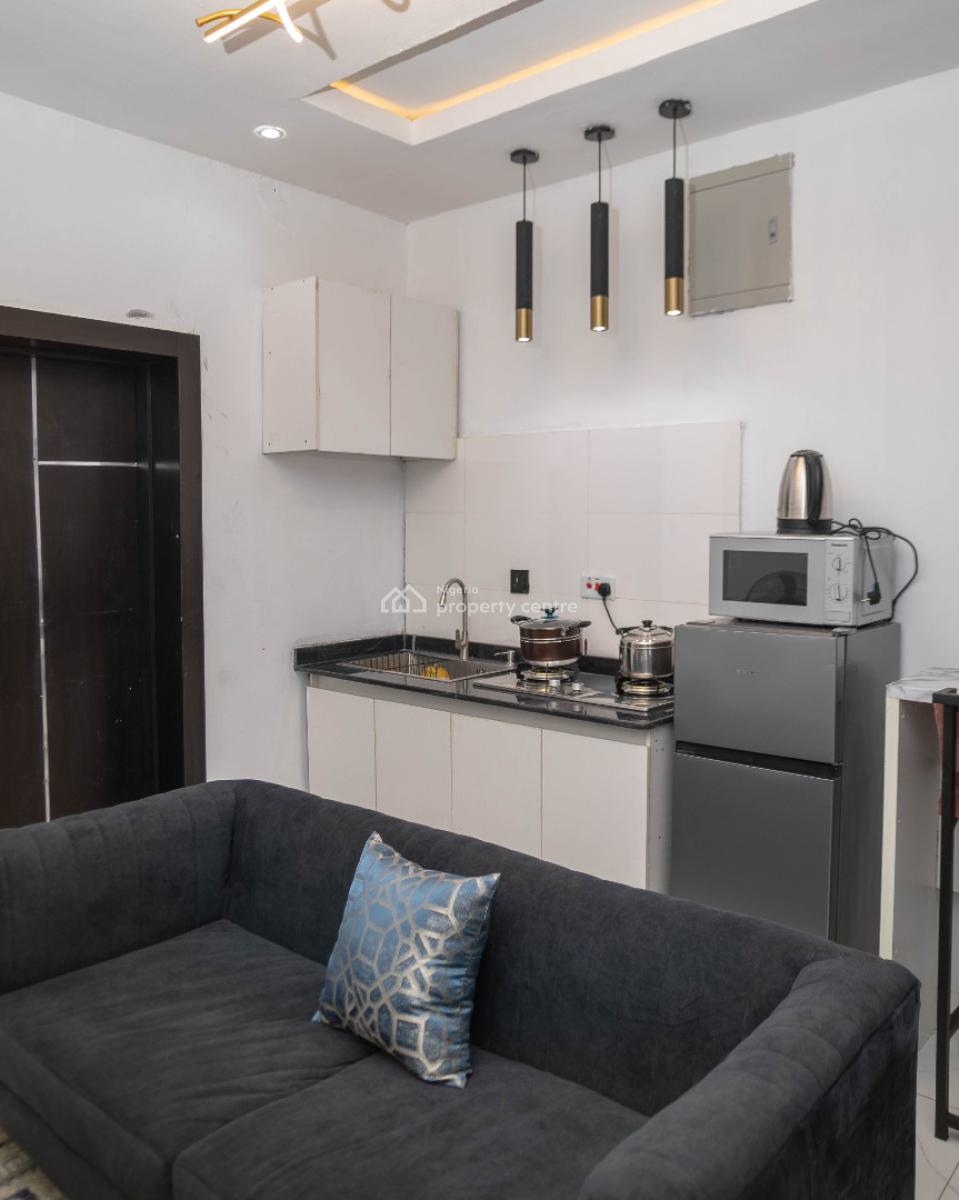 Nicely Furnished 1 Bedroom Apartment, Lawanson, Surulere, Lagos, Flat / Apartment Short Let