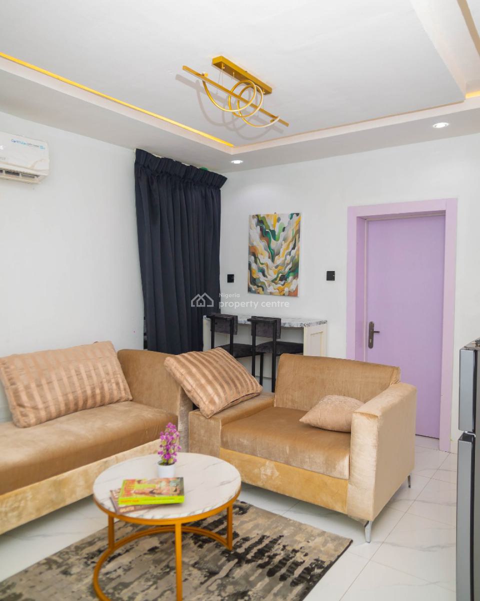 Nicely Furnished 1 Bedroom Apartment, Lawanson, Surulere, Lagos, Flat / Apartment Short Let