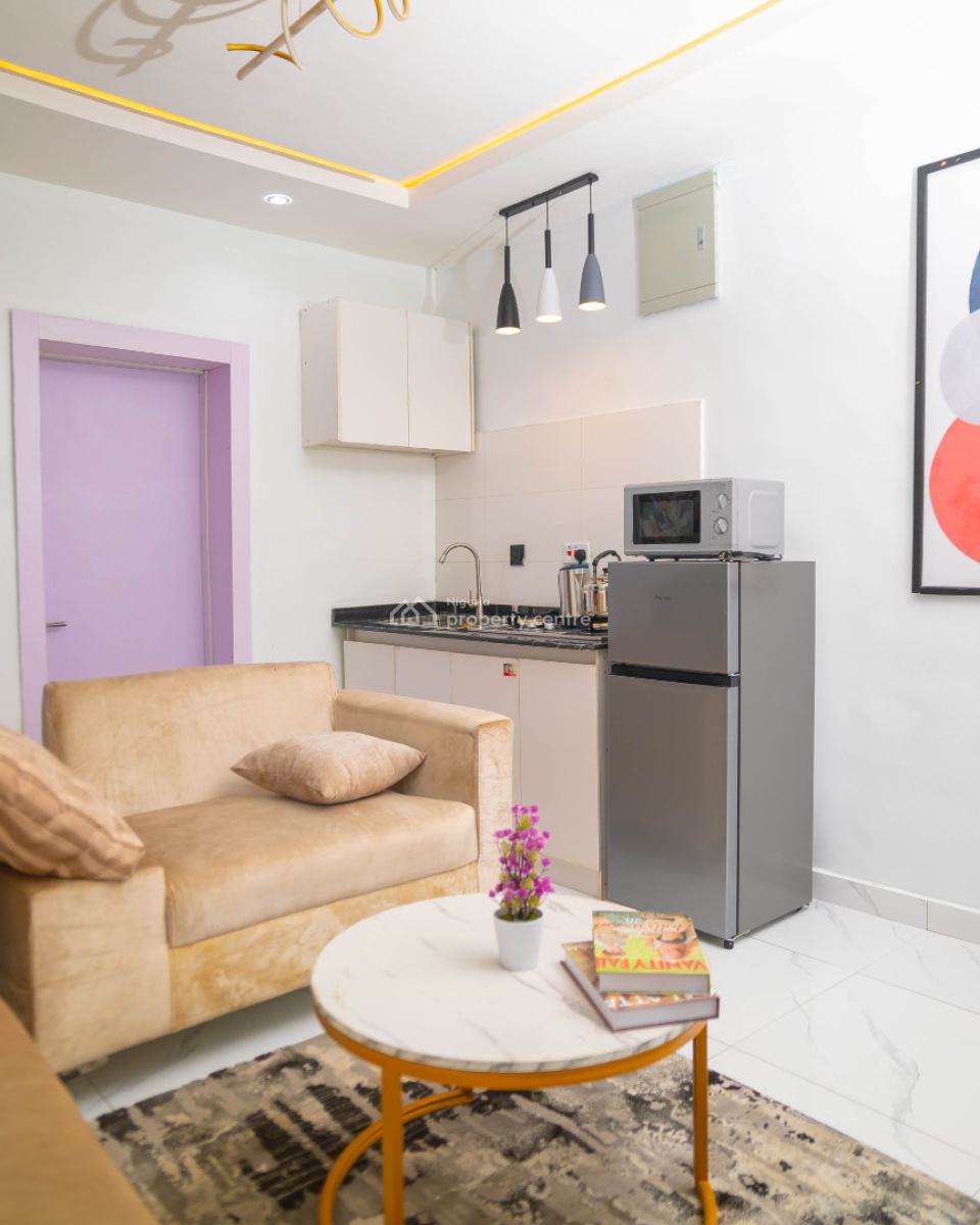 Nicely Furnished 1 Bedroom Apartment, Lawanson, Surulere, Lagos, Flat / Apartment Short Let