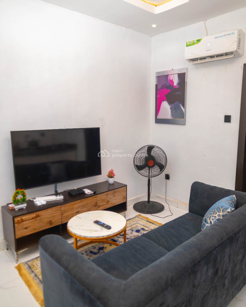 Nicely Furnished 1 Bedroom Apartment, Lawanson, Surulere, Lagos, Flat / Apartment Short Let