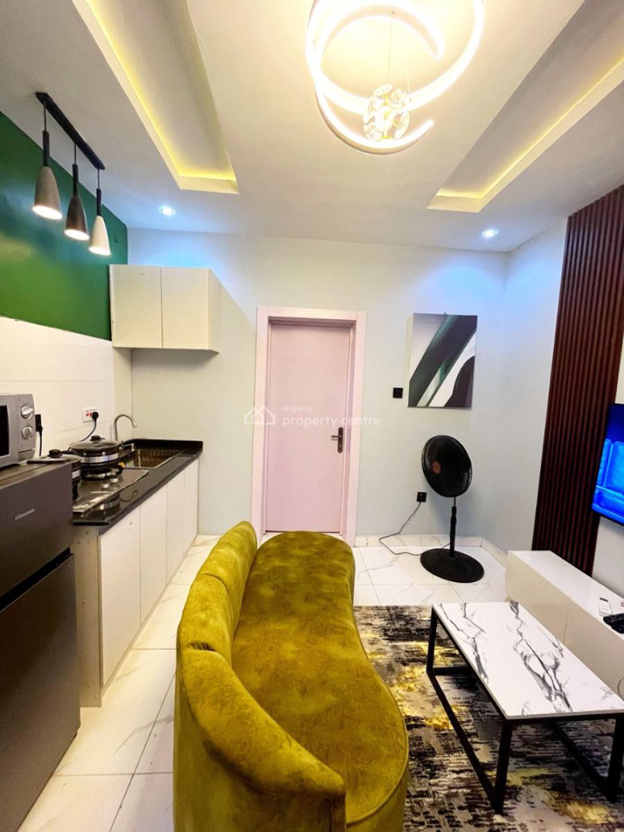 Nicely Furnished 1 Bedroom Apartment, Lawanson, Surulere, Lagos, Flat / Apartment Short Let