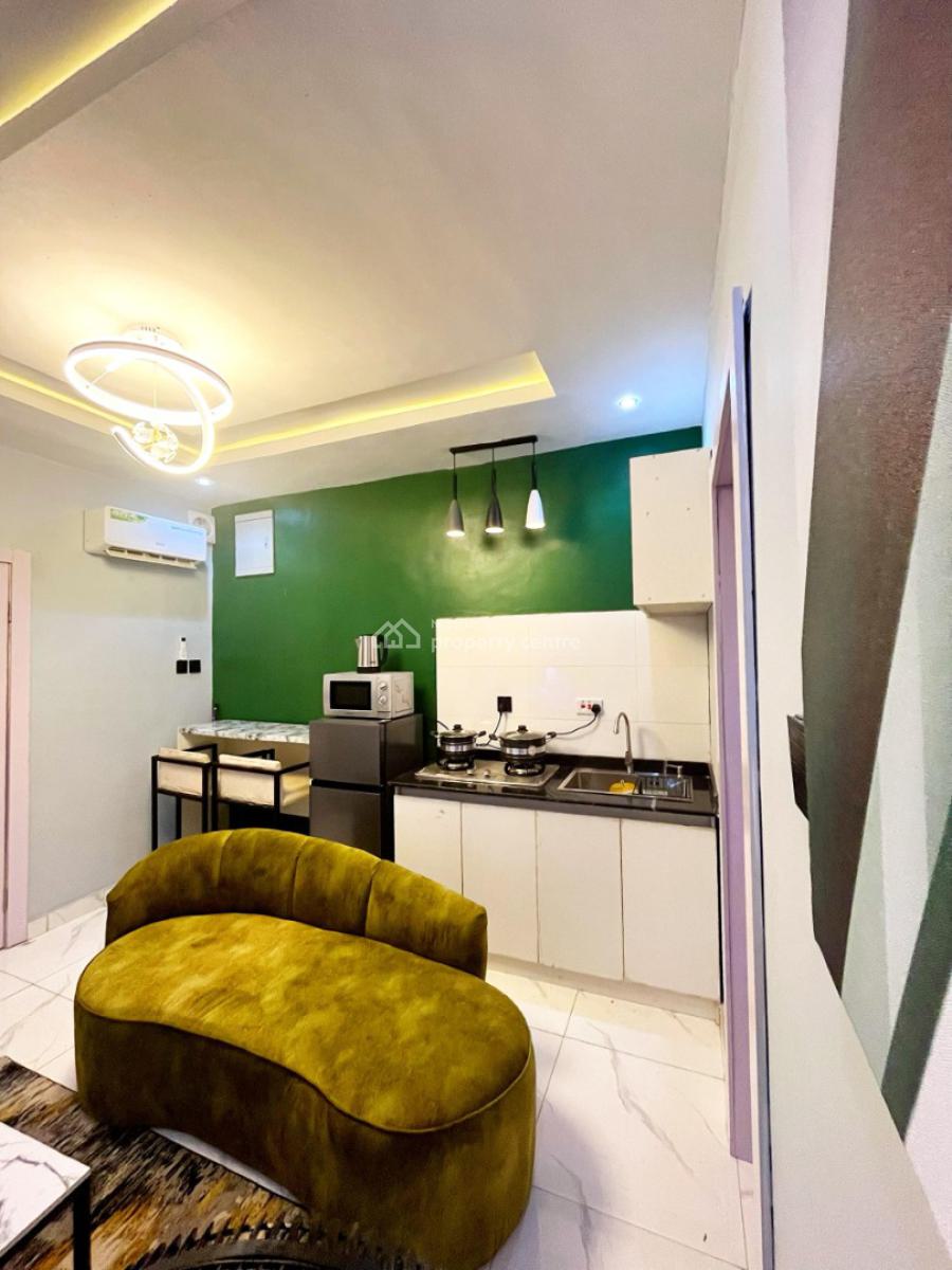 Nicely Furnished 1 Bedroom Apartment, Lawanson, Surulere, Lagos, Flat / Apartment Short Let