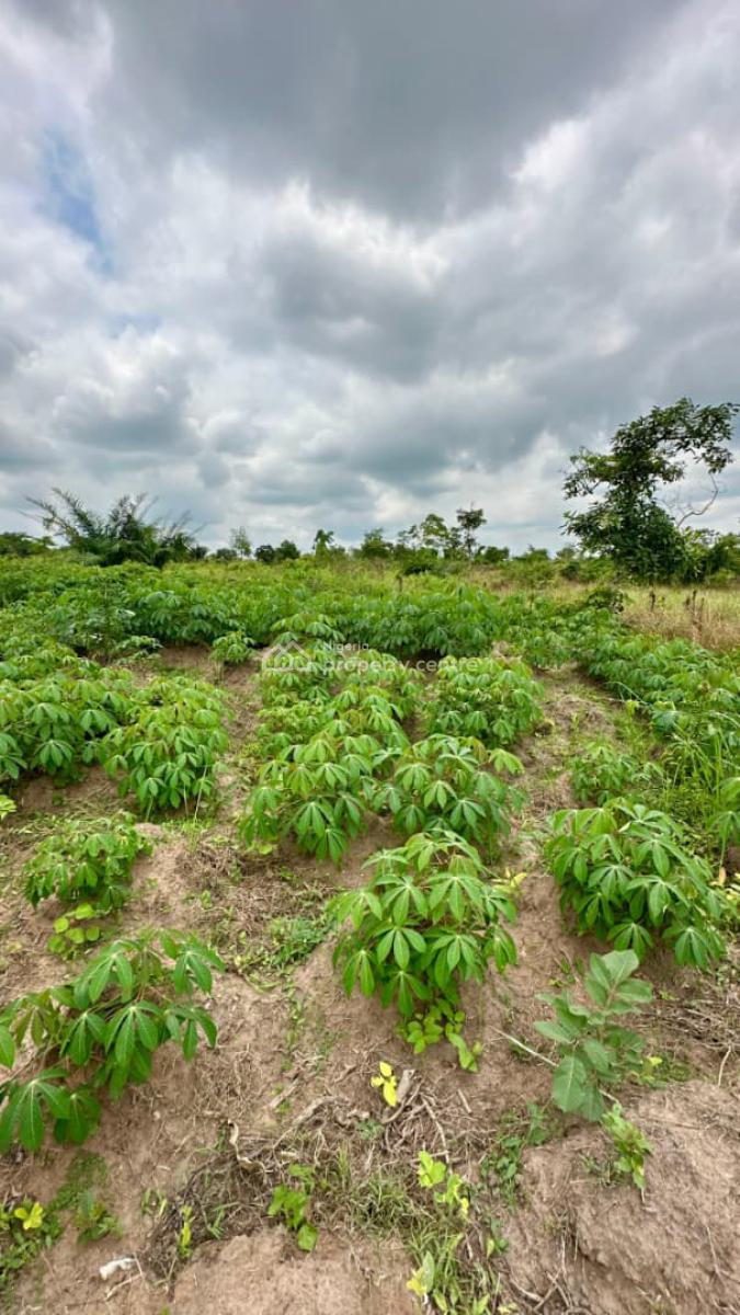 Affordable Farm Land with a Promo Offer & Flexible Payment Plan, Off Funaab, Alabata Road, Abeokuta, Odeda, Ogun, Mixed-use Land for Sale