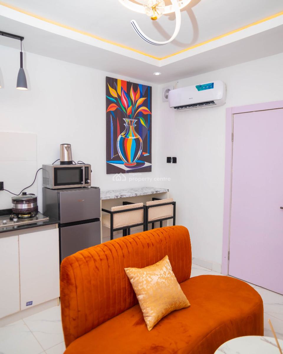 Nicely Furnished 1 Bedroom Apartment, Lawanson, Surulere, Lagos, Flat / Apartment Short Let