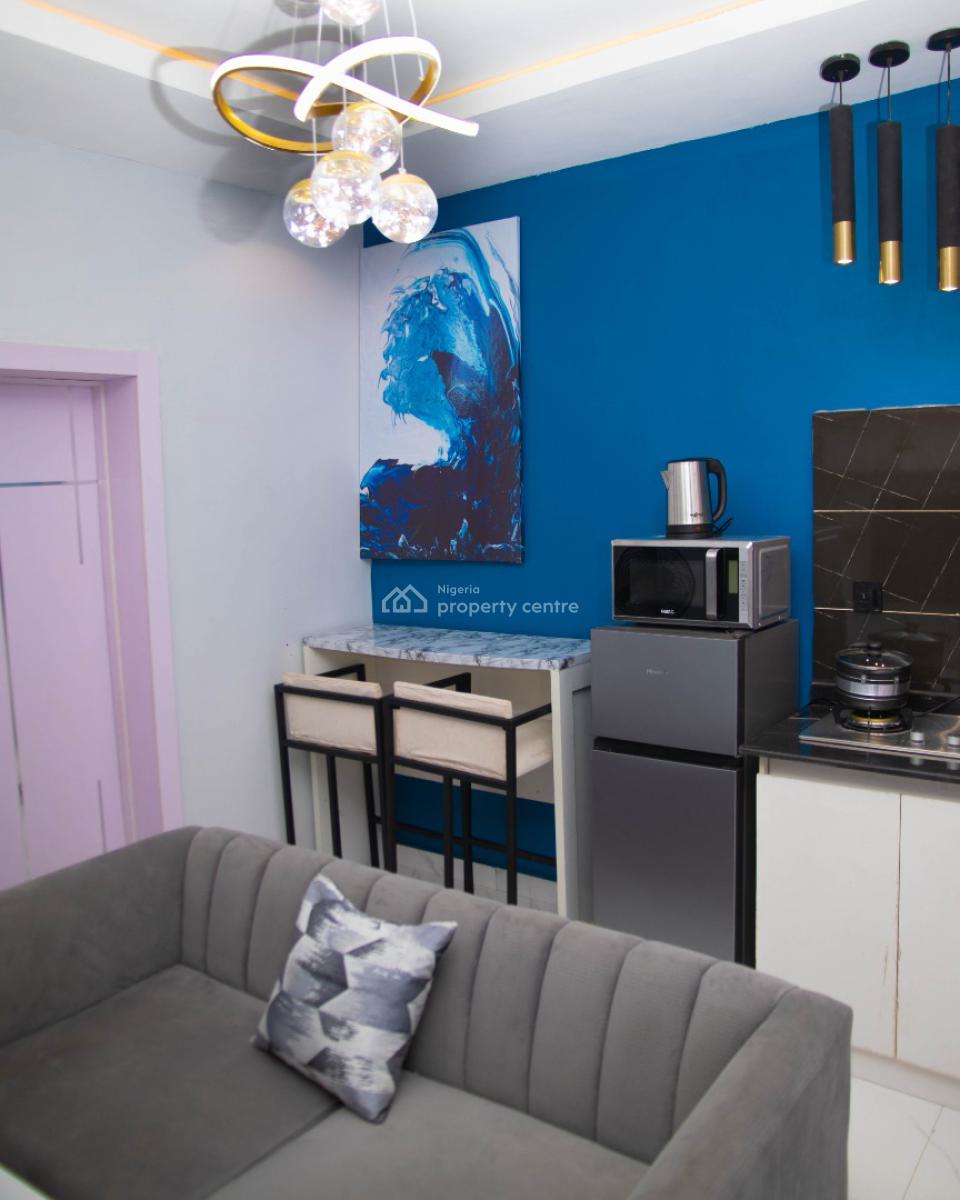 Nicely Furnished 1 Bedroom Apartment, Lawanson, Surulere, Lagos, Flat / Apartment Short Let