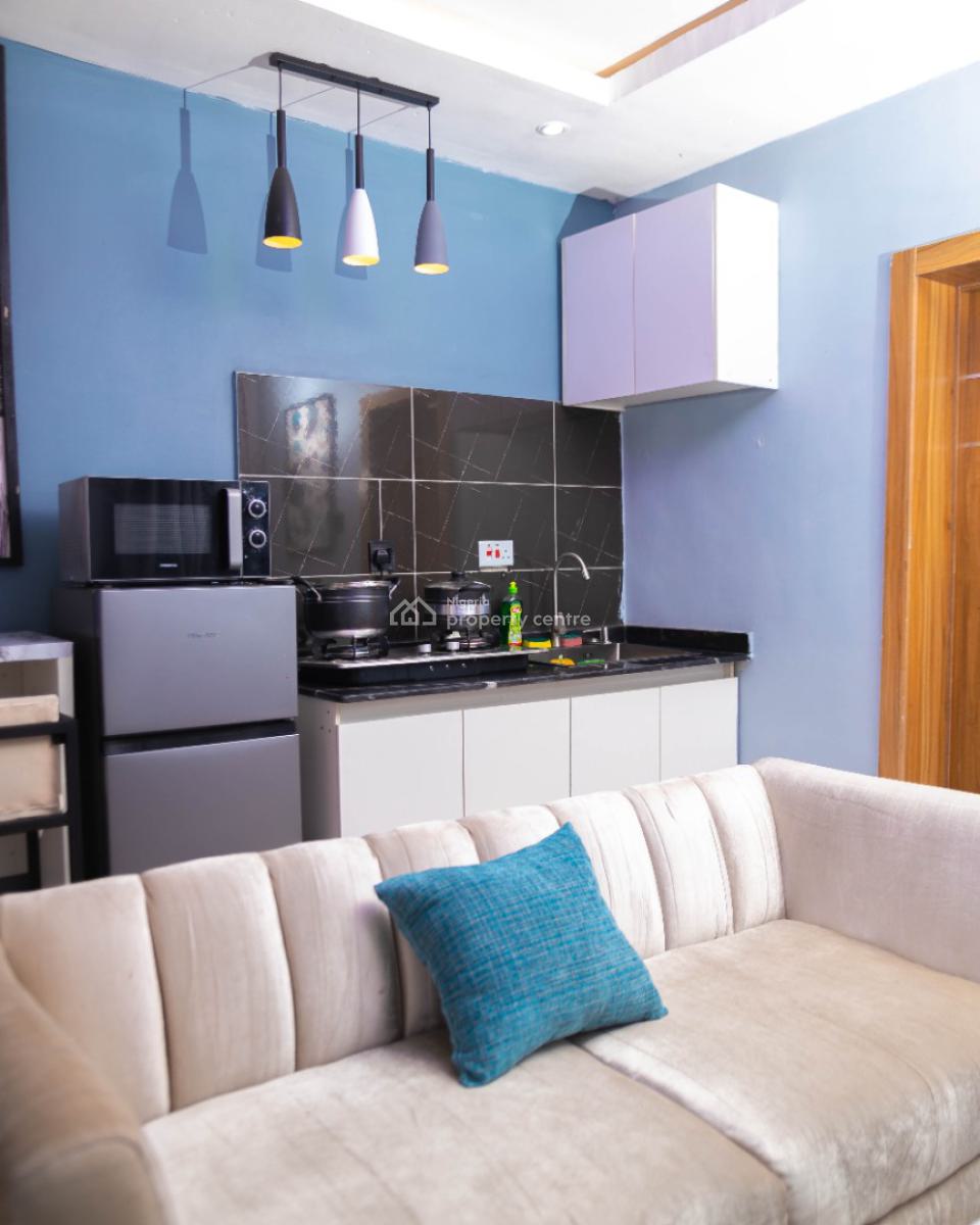 Nicely Furnished Apartment, Lawanson, Surulere, Lagos, Flat / Apartment Short Let