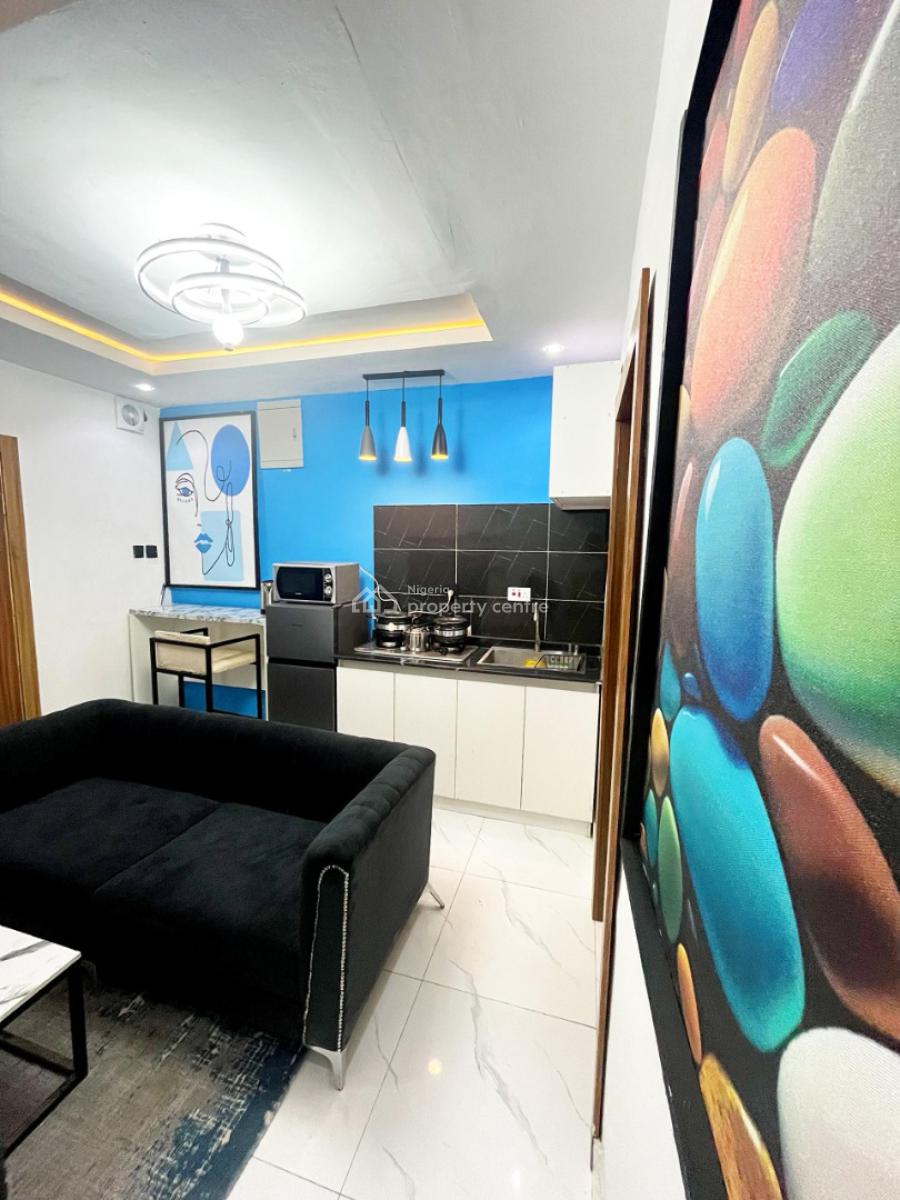 Nicely Furnished 1 Bedroom Apartment, Lawanson, Surulere, Lagos, Flat / Apartment Short Let