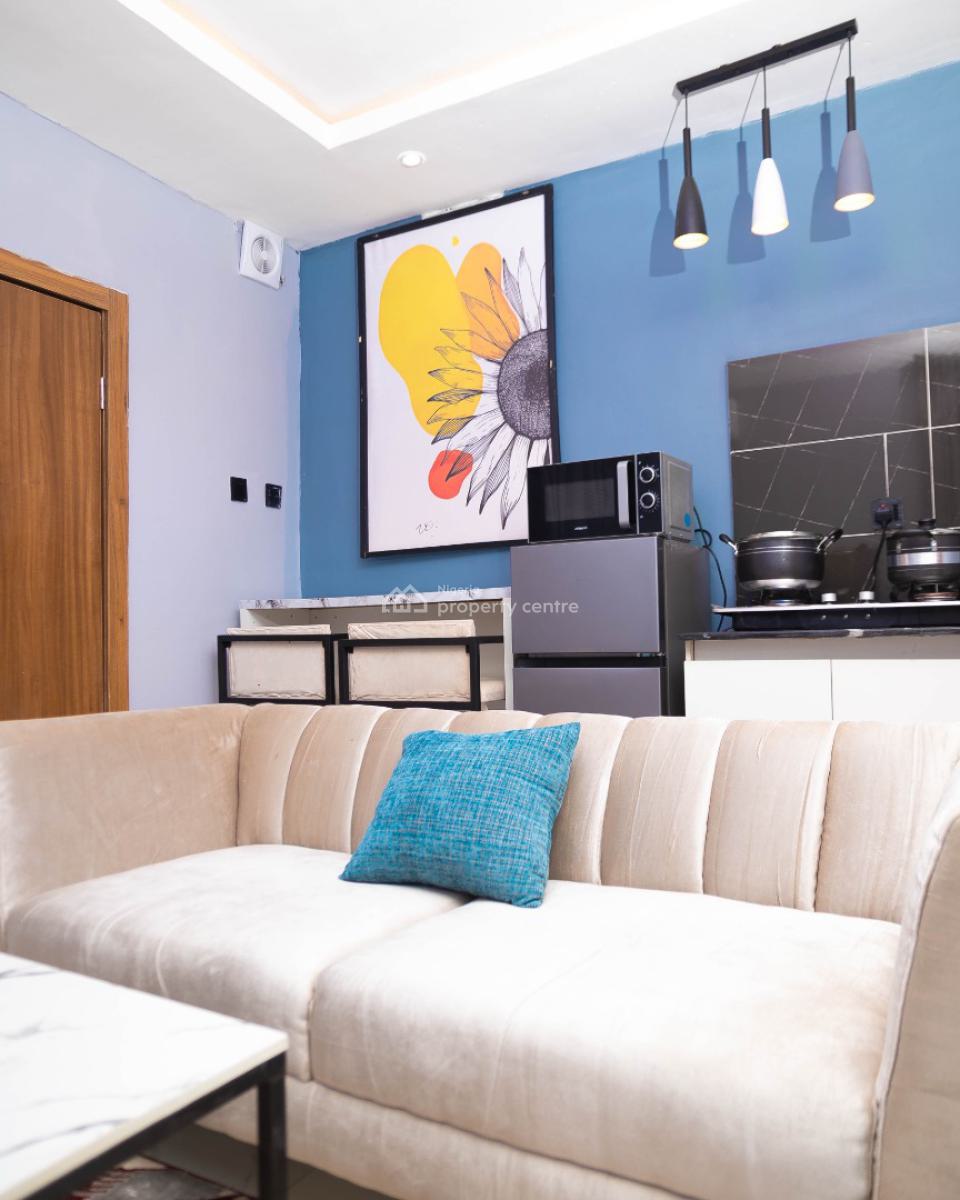 Nicely Furnished 1 Bedroom, Lawanson, Surulere, Lagos, Flat / Apartment Short Let