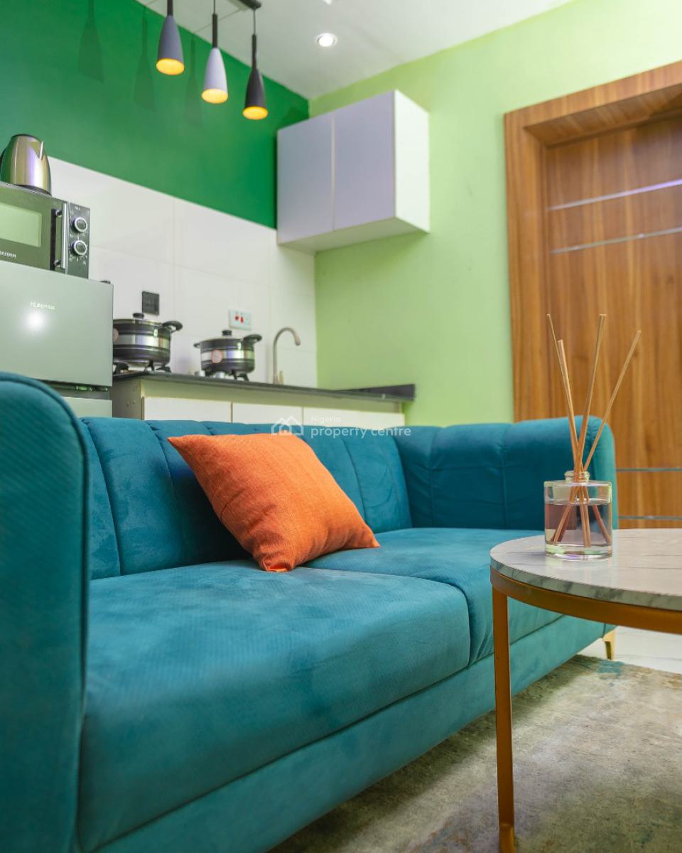 Nicely Furnished 1 Bedroom Apartment, Lawanson, Surulere, Lagos, Flat / Apartment Short Let