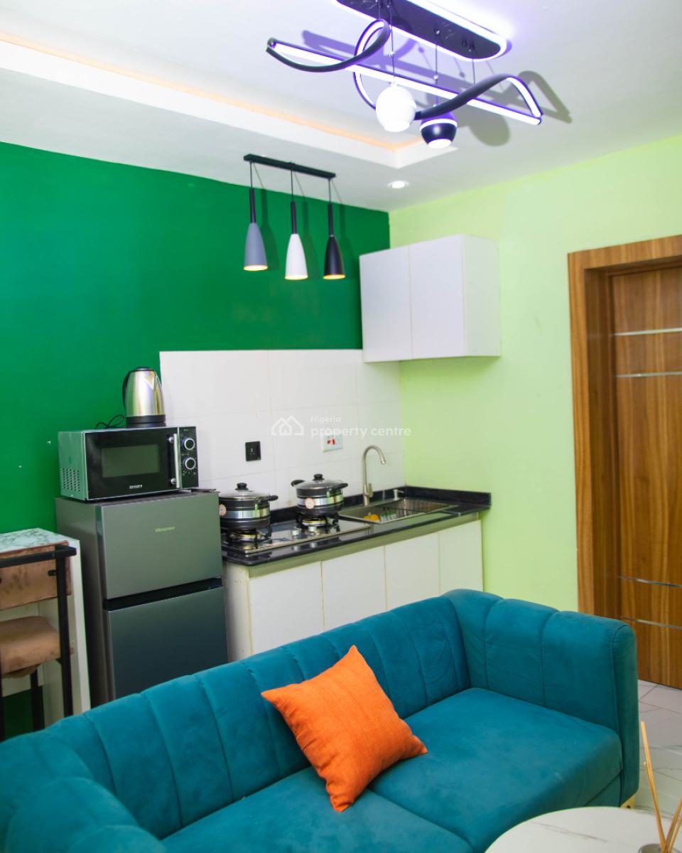 Nicely Furnished 1 Bedroom Apartment, Lawanson, Surulere, Lagos, Flat / Apartment Short Let