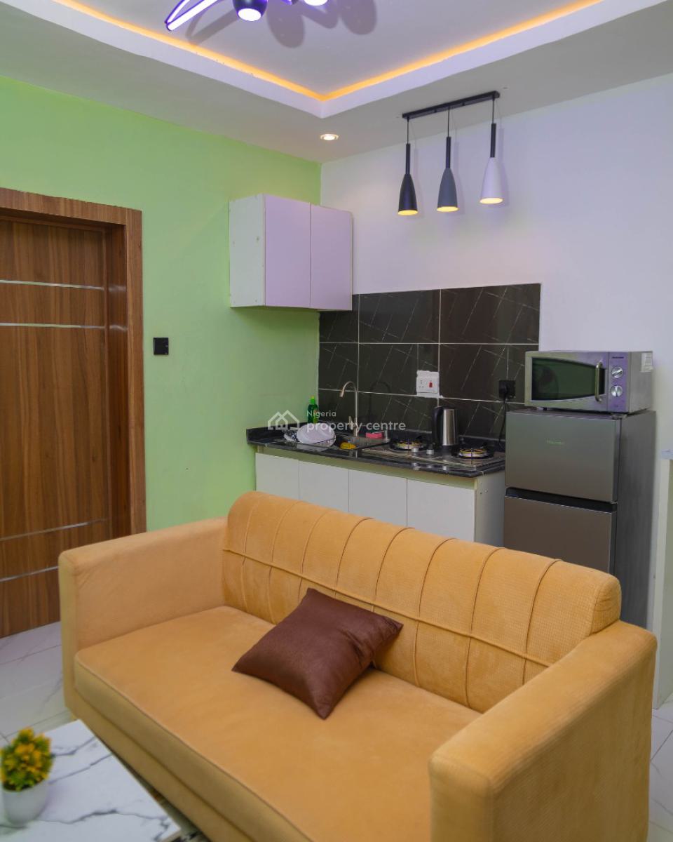 Nicely Furnished 1 Bedroom Apartment, Lawanson, Surulere, Lagos, Flat / Apartment Short Let