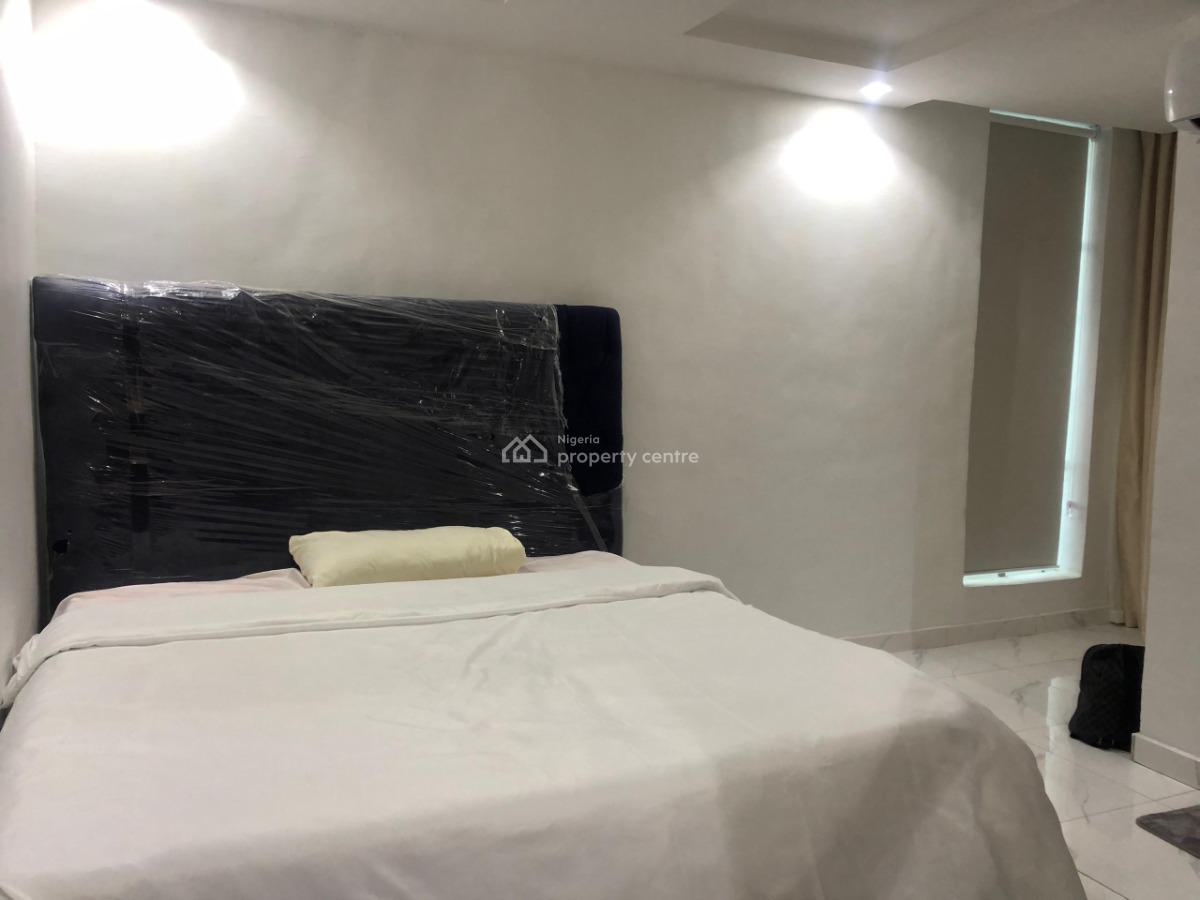 Nicely Furnished 1 Bedroom Apartment, Lawanson, Surulere, Lagos, Flat / Apartment Short Let