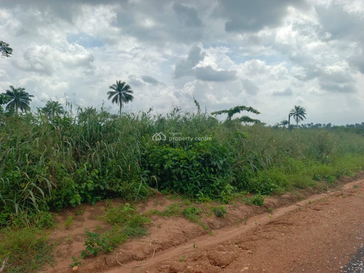 Most Cheapest  Land All Inclusive Price on The Express Road, Success Park Estate Buy 5 Get Two Plots Free, Obafemi Owode, Ogun, Commercial Land for Sale