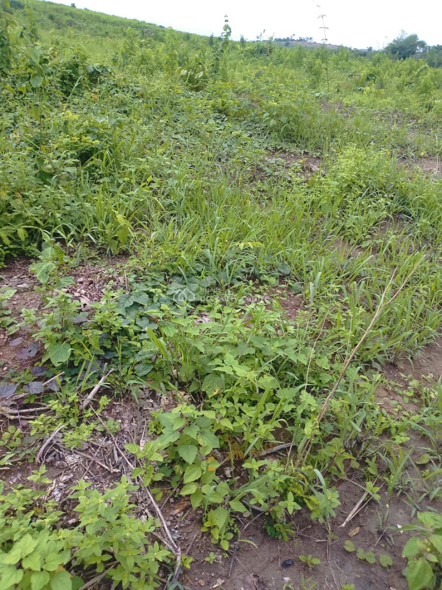 Premium Affordable Dry Land with Gazette in Folu Community, Prestige Gardens Estate After Lacampyne Tropicana Resort, Okun-ise, Ibeju Lekki, Lagos, Land for Sale