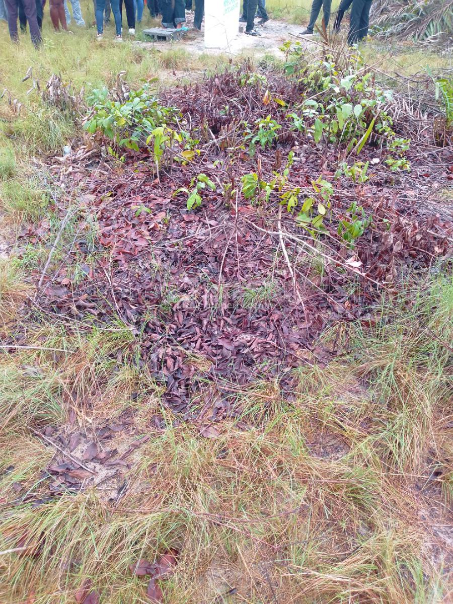 Premium Affordable Dry Land with Gazette in Folu Community, Prestige Gardens Estate After Lacampyne Tropicana Resort, Okun-ise, Ibeju Lekki, Lagos, Land for Sale