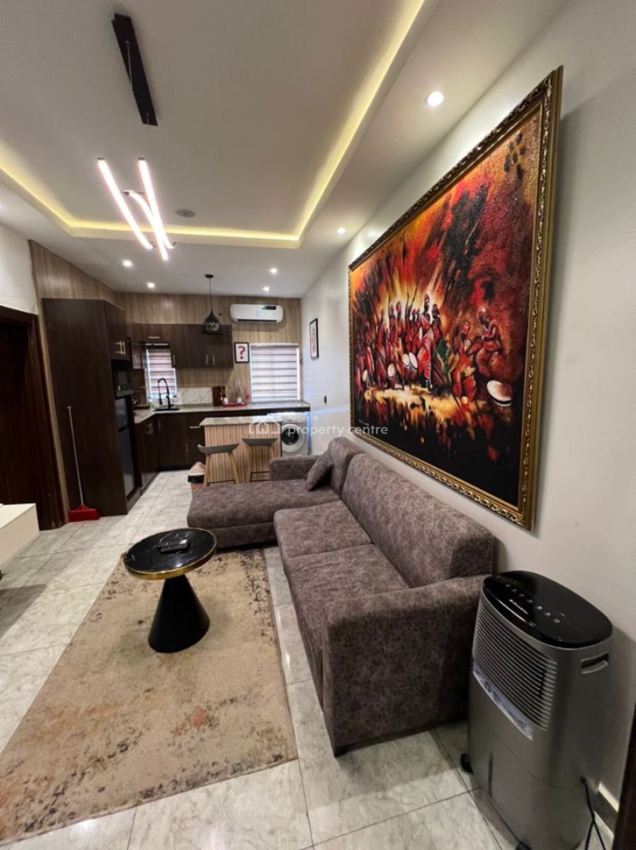 Affordable and Spacious 1 Bedroom Apartment, Wuse, Abuja, Mini Flat (room and Parlour) Short Let