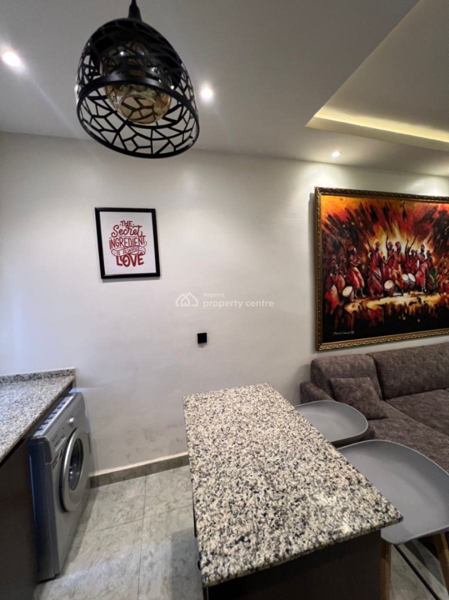 Affordable and Spacious 1 Bedroom Apartment, Wuse, Abuja, Mini Flat (room and Parlour) Short Let