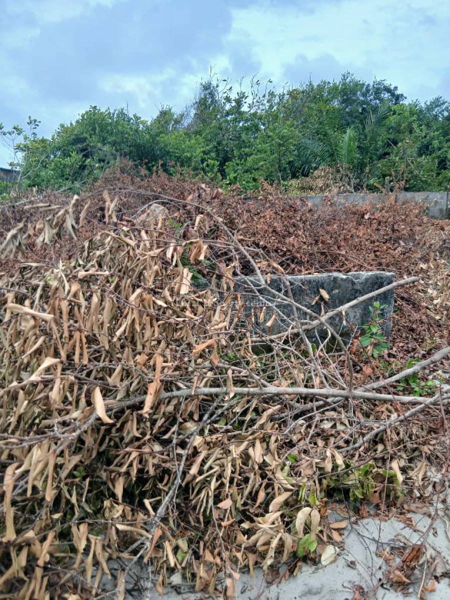 Quater Plot of Land Closed to Mtn, Okun- Mopo Mtn Side Ibeju Lekki, Ibeju Lekki, Lagos, Mixed-use Land for Sale